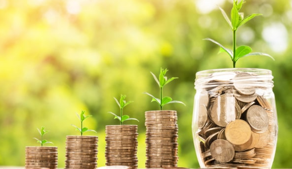 Investment holdings